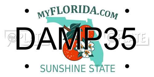 DAMP35 Florida License Plate