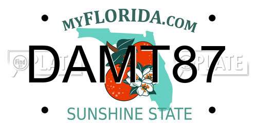 DAMT87 Florida License Plate
