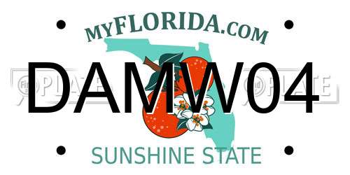 DAMW04 Florida License Plate