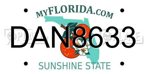 DAN8633 Florida License Plate
