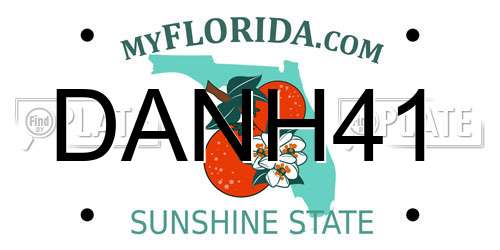 DANH41 Florida License Plate
