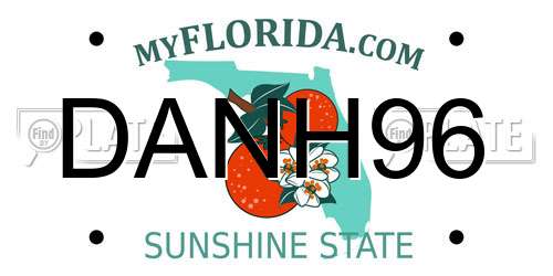 DANH96 Florida License Plate