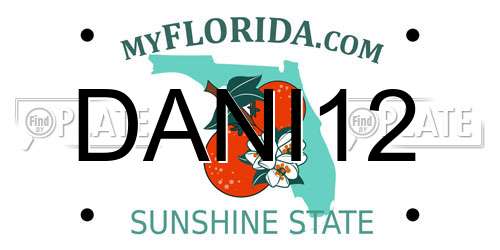 DANI12 Florida License Plate