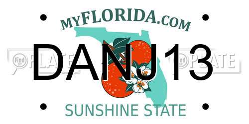 DANJ13 Florida License Plate