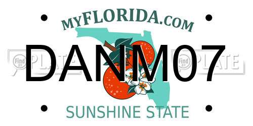 DANM07 Florida License Plate