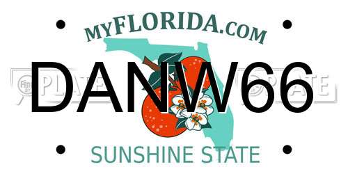 DANW66 Florida License Plate