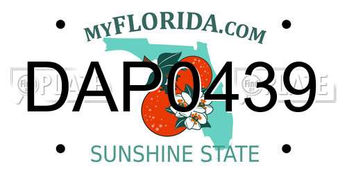 DAP0439 Florida License Plate