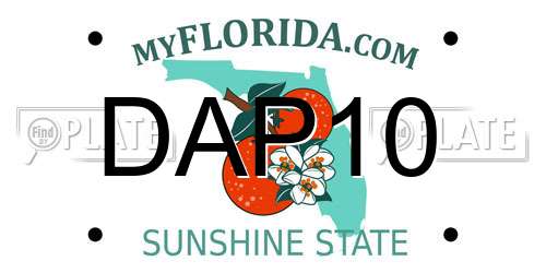 DAP10 Florida License Plate