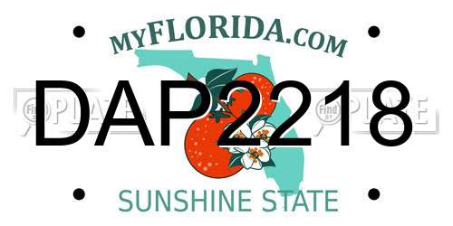 DAP2218 Florida License Plate