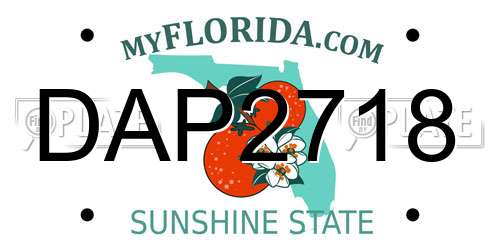 DAP2718 Florida License Plate
