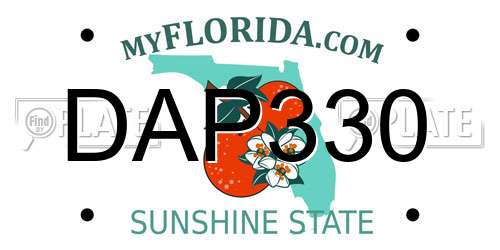DAP330 Florida License Plate