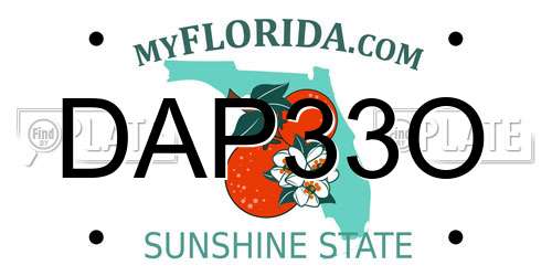DAP33O Florida License Plate
