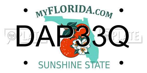 DAP33Q Florida License Plate