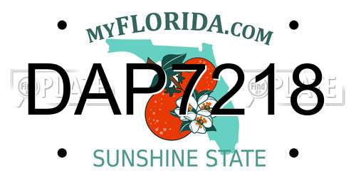 DAP7218 Florida License Plate