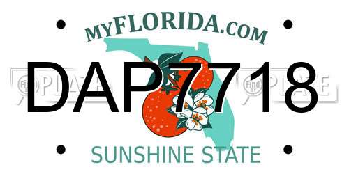 DAP7718 Florida License Plate