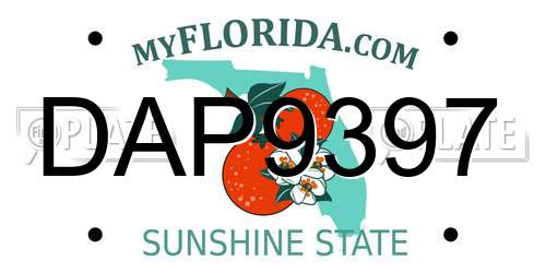DAP9397 Florida License Plate
