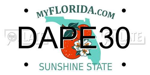 DAPE30 Florida License Plate
