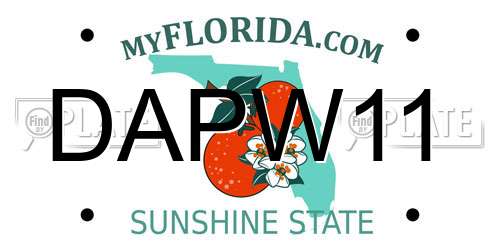 DAPW11 Florida License Plate