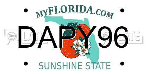 DAPY96 Florida License Plate