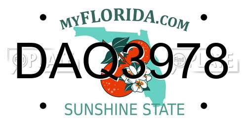 DAQ3978 Florida License Plate