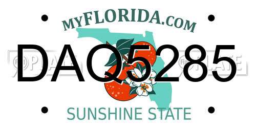 DAQ5285 Florida License Plate