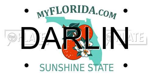DARLIN Florida License Plate