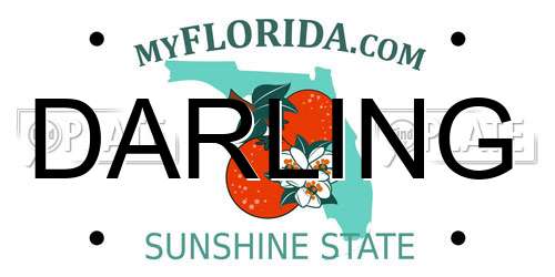 DARLING Florida License Plate