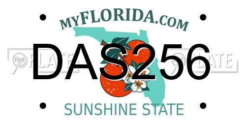 DAS256 Florida License Plate
