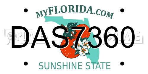 DAS7360 Florida License Plate