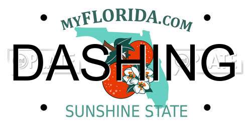 DASHING Florida License Plate