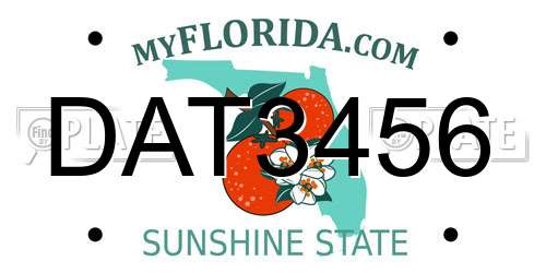 DAT3456 Florida License Plate