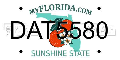 DAT5580 Florida License Plate
