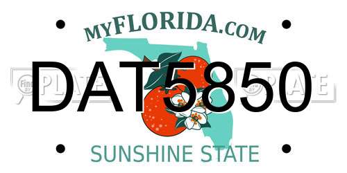 DAT5850 Florida License Plate