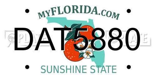 DAT5880 Florida License Plate