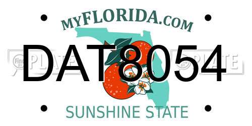 DAT8054 Florida License Plate