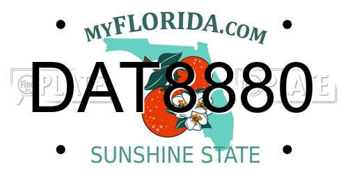 DAT8880 Florida License Plate