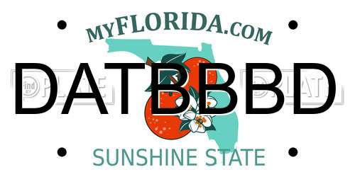 DATBBBD Florida License Plate