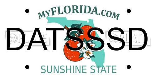 DATSSSD Florida License Plate