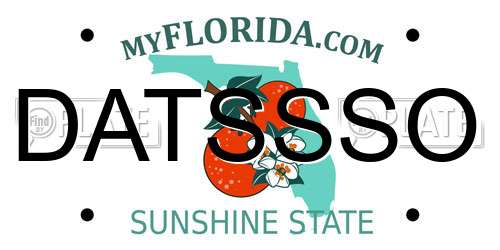 DATSSSO Florida License Plate