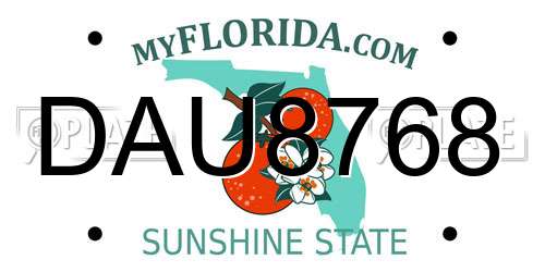 DAU8768 Florida License Plate