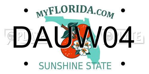 DAUW04 Florida License Plate