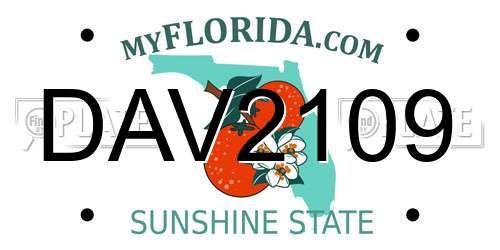 DAV2109 Florida License Plate