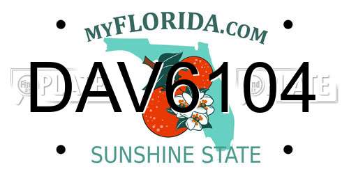 DAV6104 Florida License Plate