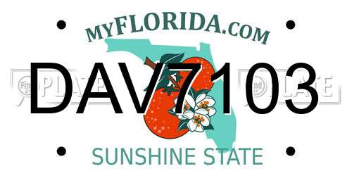 DAV7103 Florida License Plate