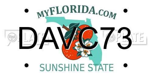 DAVC73 Florida License Plate