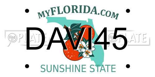 DAVI45 Florida License Plate