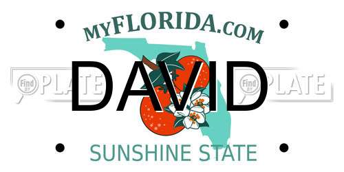 DAVID Florida License Plate