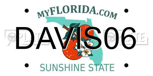 DAVIS06 Florida License Plate