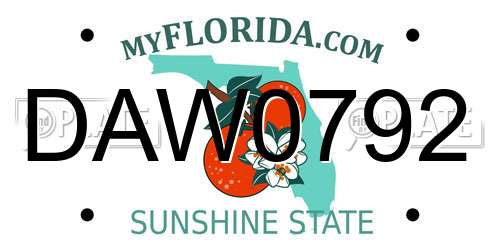 DAW0792 Florida License Plate