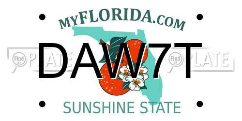 DAW7T Florida License Plate